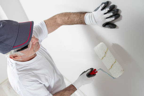 Best Water Damage & Mold Remediation  in Dauphin, PA