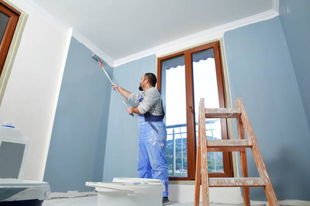 Best Emergency Mold Remediation  in Dauphin, PA
