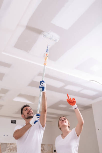 Best Residential Mold Inspection & Testing  in Dauphin, PA