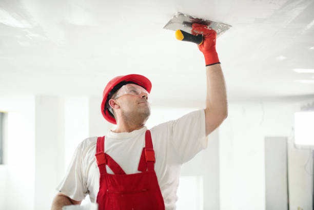 Best Real Estate Mold Inspection  in Dauphin, PA