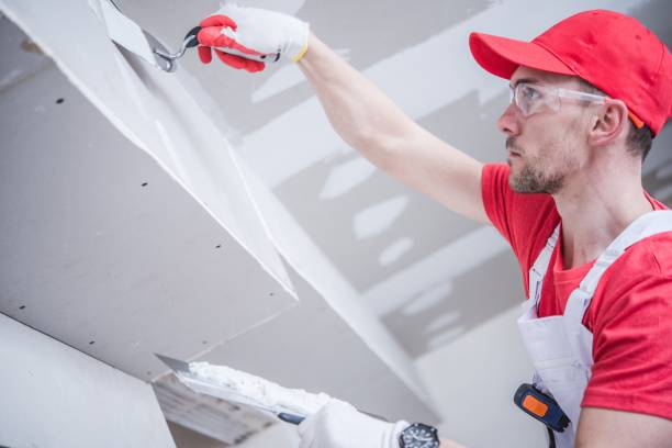 Professional Mold Removal in Dauphin, PA